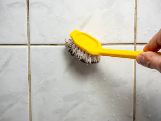 Best Residential Mold Remediation in Fairview, GA