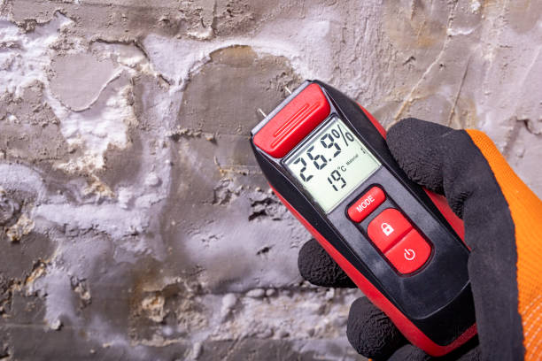 Best Emergency Mold Remediation in Fairview, GA