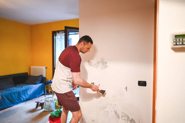 Best Attic Mold Remediation in Fairview, GA